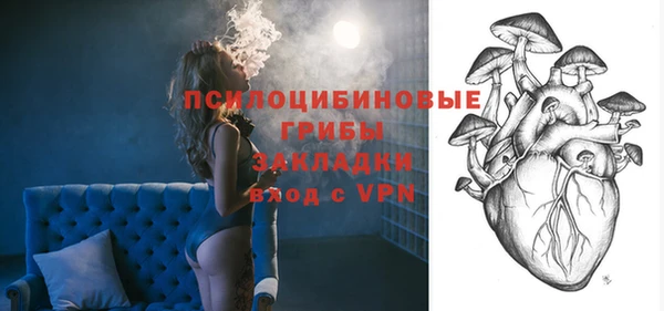 амф Алексин