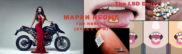 амф Алексин