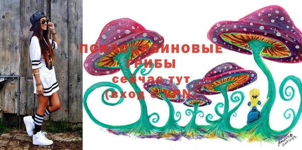амф Алексин