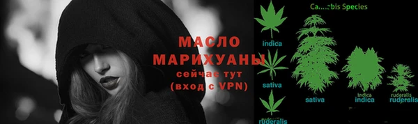амф Алексин