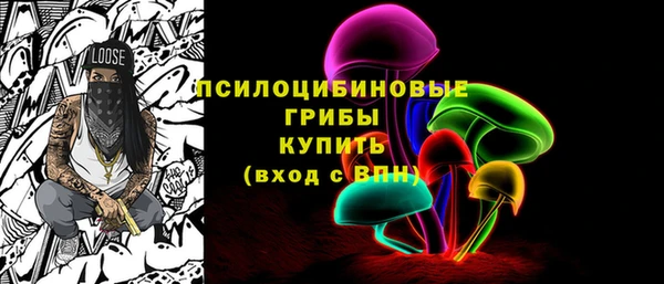 амф Алексин