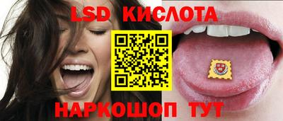 PSILOCYBIN Обнинск
