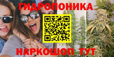 PSILOCYBIN Обнинск