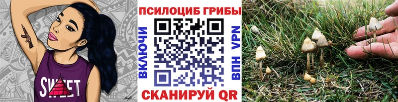Галлюциногенные грибы MAGIC MUSHROOMS  дарк нет какой сайт  Чебоксары 