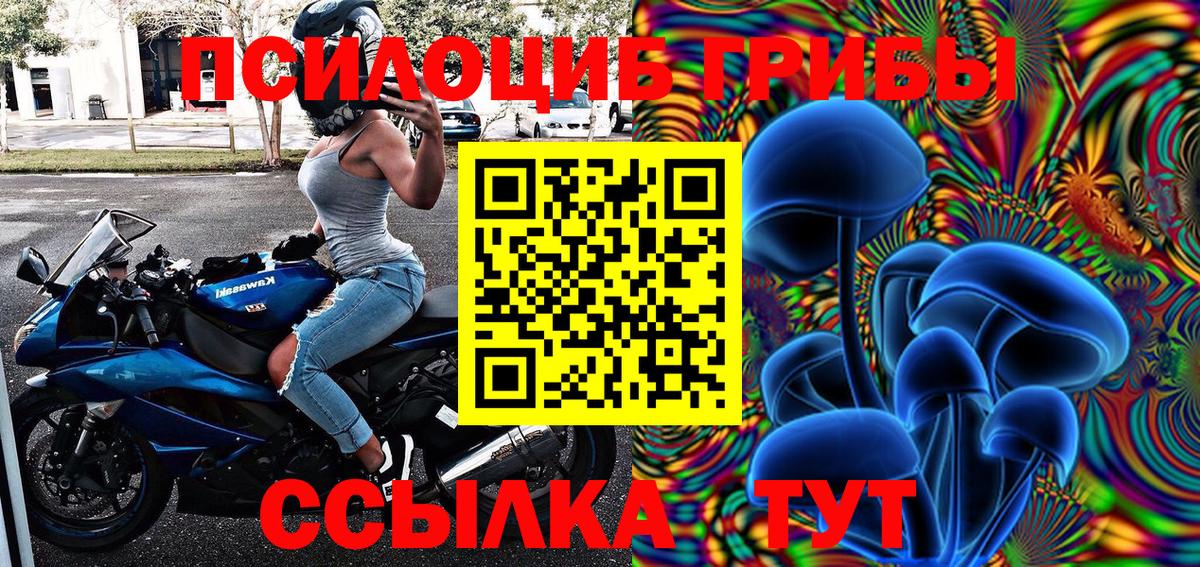 Галлюциногенные грибы Psilocybine cubensis Чебоксары