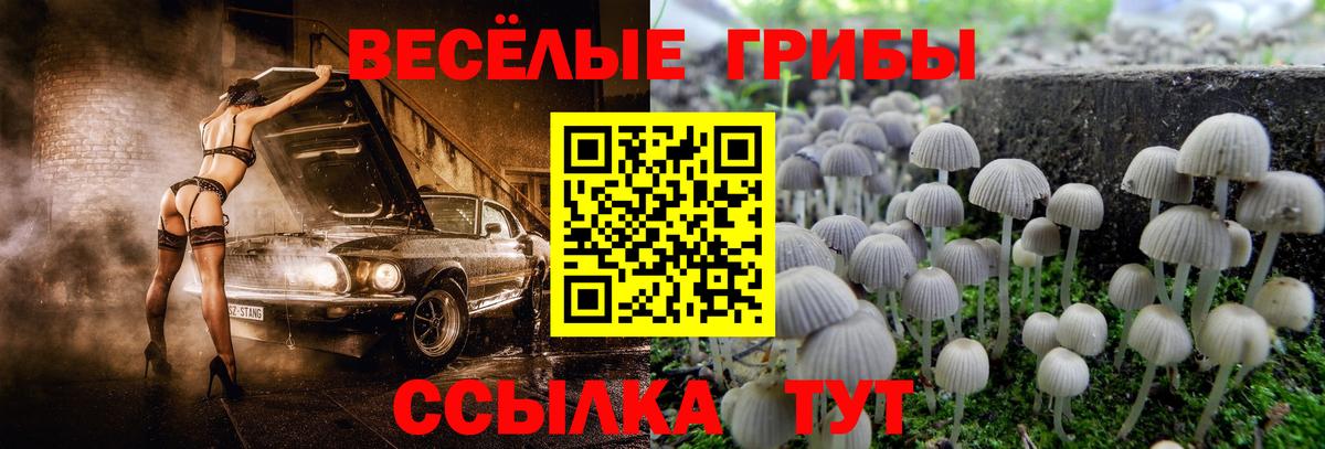 Чебоксары  Галлюциногенные грибы мицелий  Вход с VPN 