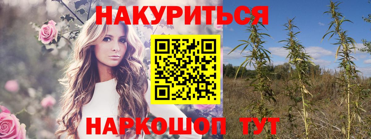 Шишки марихуана SATIVA & INDICA  Марихуана гибрид  Чебоксары  Вход с VPN  Каннабис сатива 